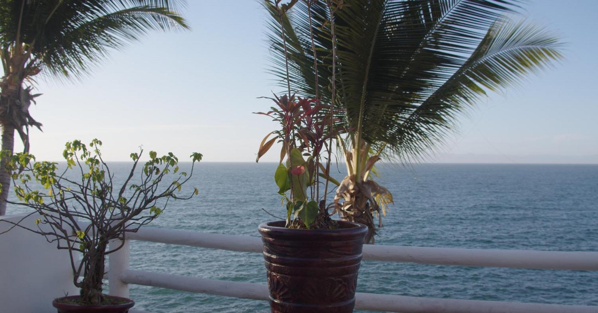 Traditional Sierra Leon Oceanfront Rooms - Adults Only Puerto Vallarta Extérieur photo